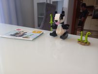 Klocki LEGO Creator 30641