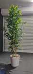 Planta artificial Ikea