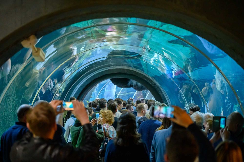 Profesjonalny Fotograf – Sesje, Eventy, Reportaże | Łódź i okolice