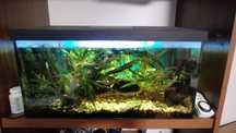 Akwarium Aquael 54l lampa grzałka filtr