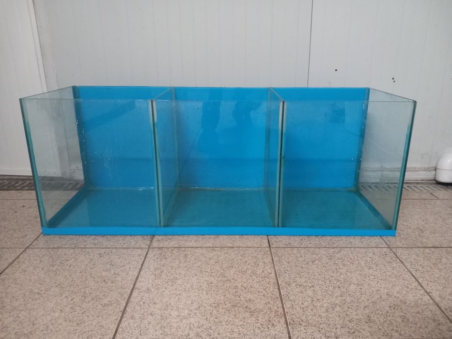 Vendo aquário com duas divisórias