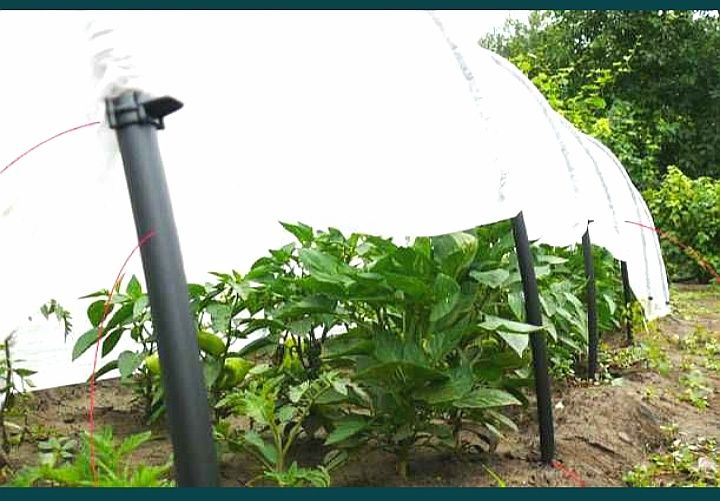 Парник Агроволокна 6м 8м 4м 3м 60г Теплиця Теплица Спанбонд Тепличка