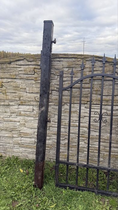 Brama z furtka i slupkami