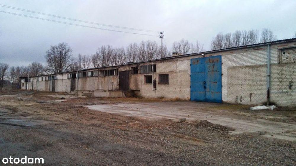 Hale/magazyny sprzedaż