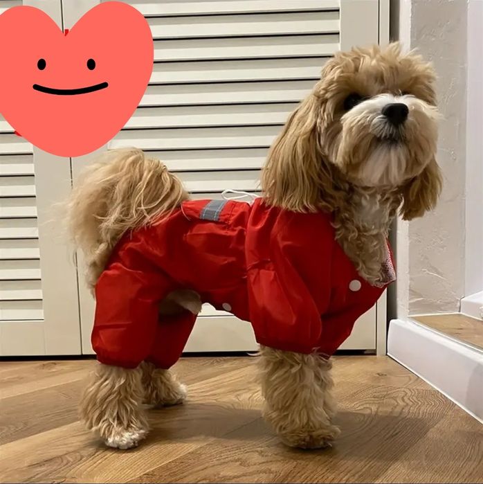 Płaszczyk przeciwdeszczowy york pudel toy