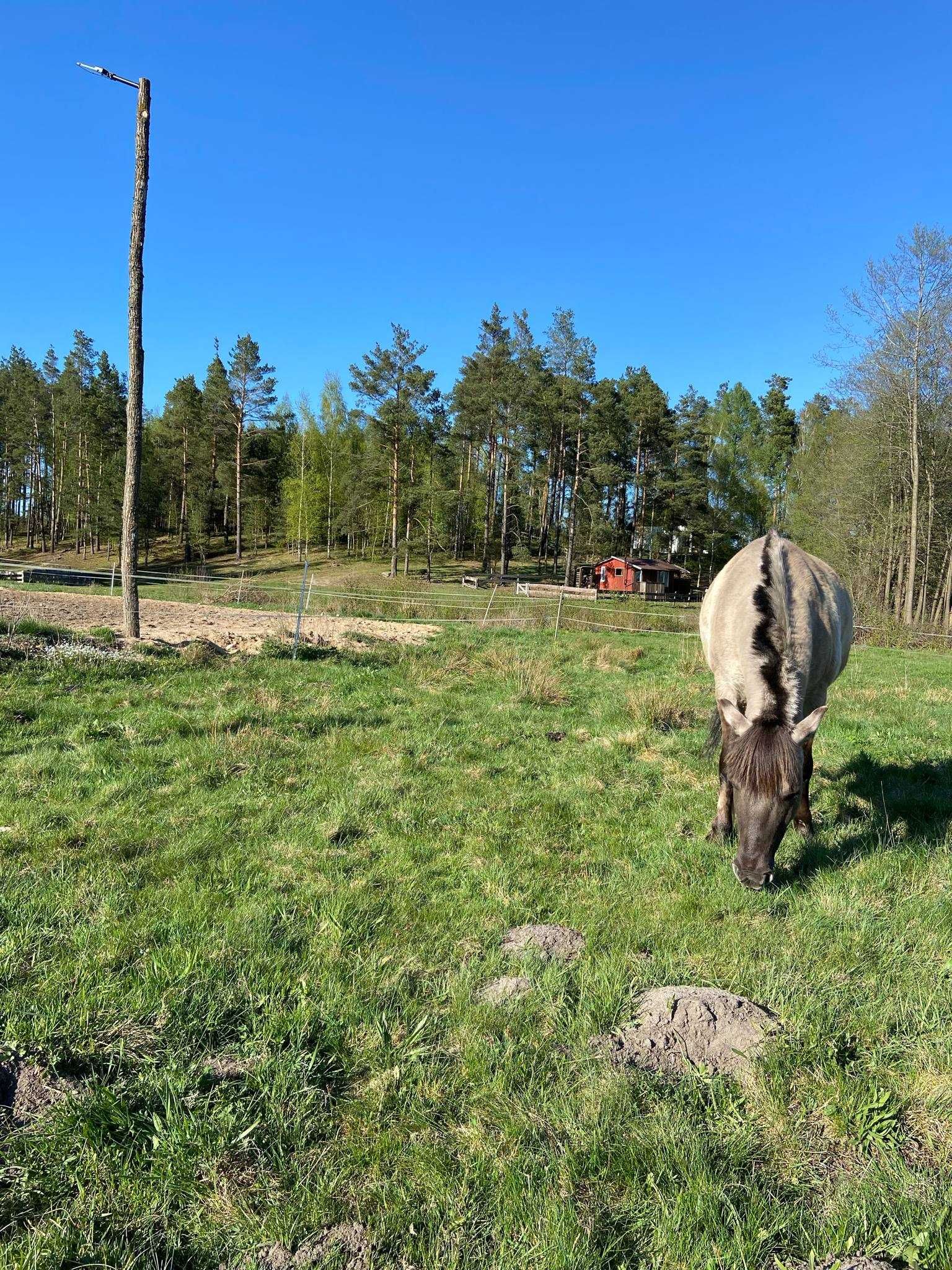 Domek nad jeziorem