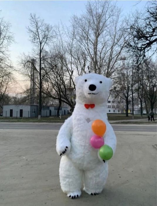 Biały Miś Wynajem całe Podkarpacie