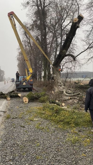 Видалення складних дерев, зрізати дерево, чистка ділянок, подрібнення