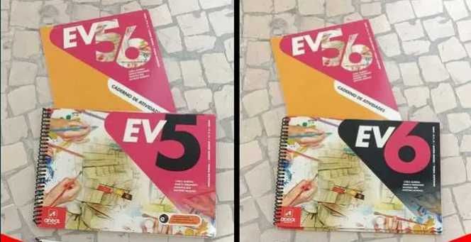 Manuais escolares 5º e  6º ano