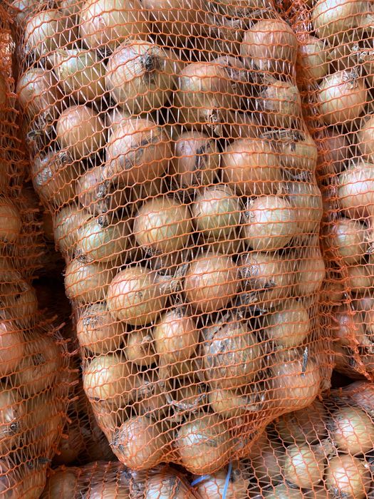 Cebula żółta 15 kg