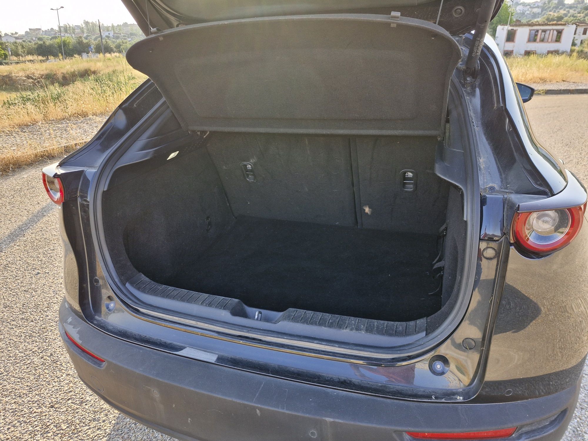 Mazda cx-30 skyactiv X