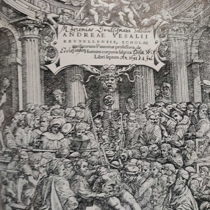 A nova história de Adão e Eva - Günter Haaf