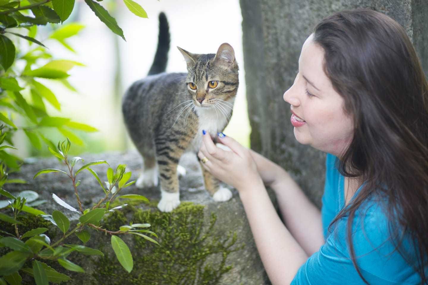 Pet Sitting - Hospedagem de Animais - Hotel Patudo