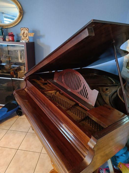 Fortepian Pettersson and Soon