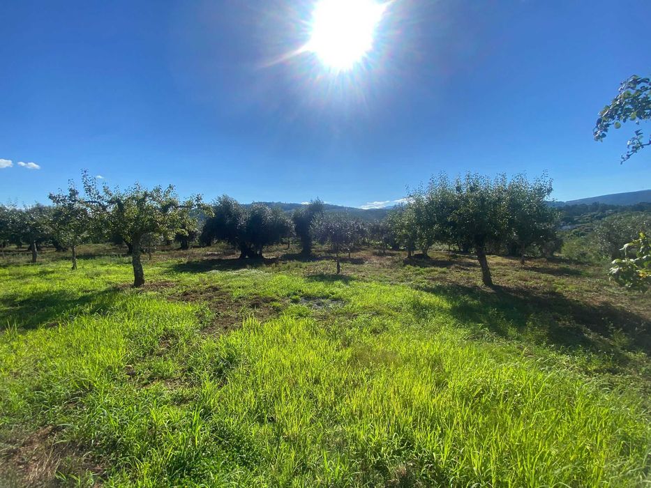 Terreno na Vila do Paul próximo das praias fluvias
