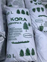 Kora sosnowa Ciechanów Płońsk Płock