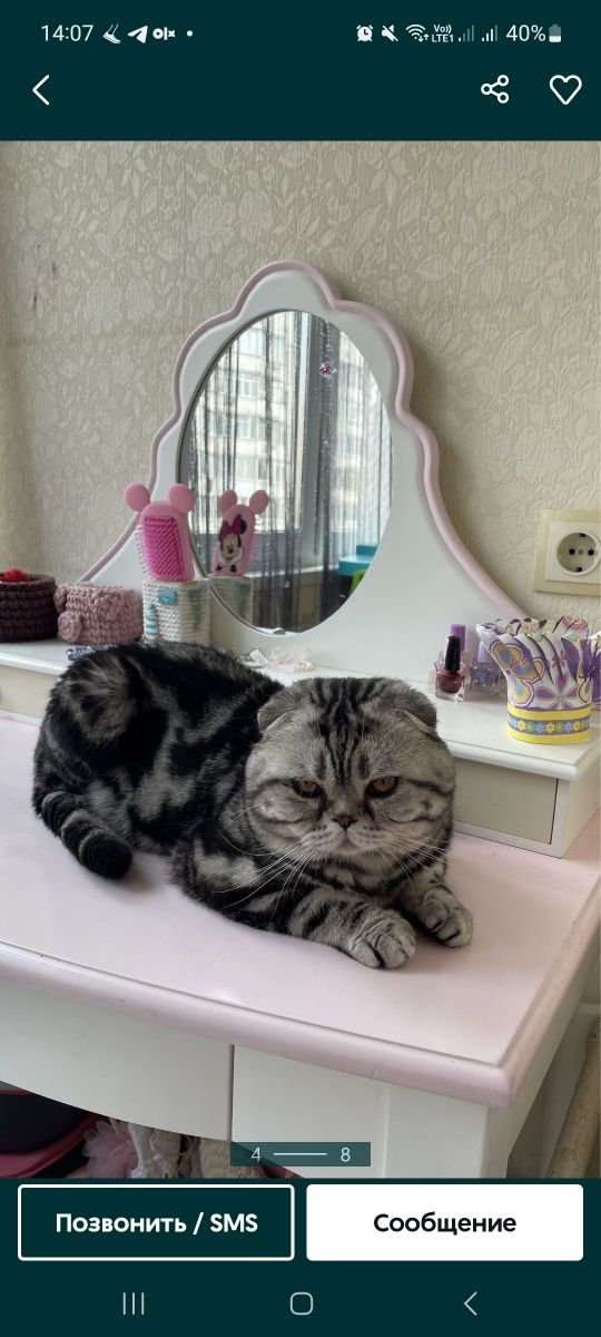 Мраморні  котики