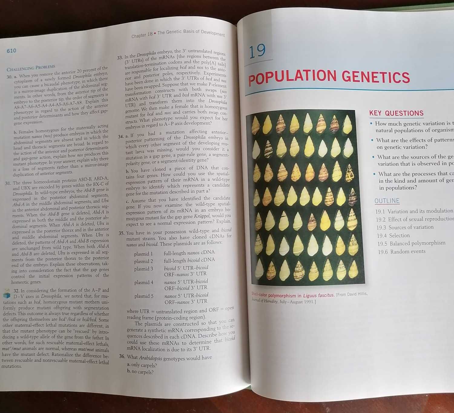 Livro Biologia Genética [Griffiths] Genetic Analysis *Como Novo*