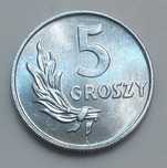 5 groszy 1949 PRL (st.1/1-)  [#1321]
