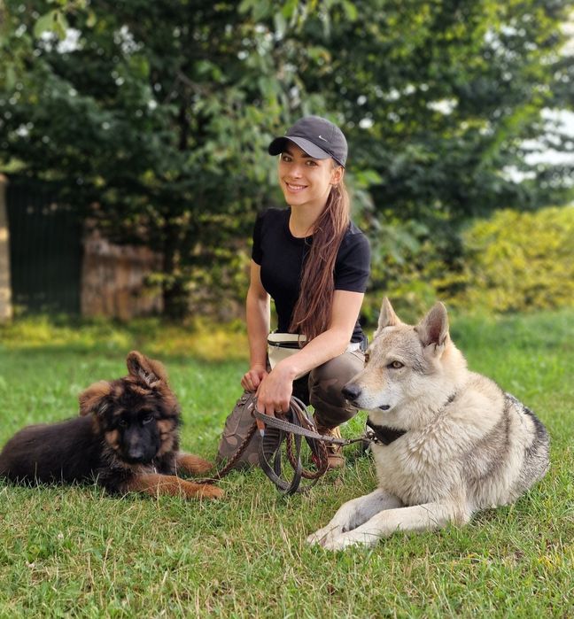 Перетримка та дресура  собак