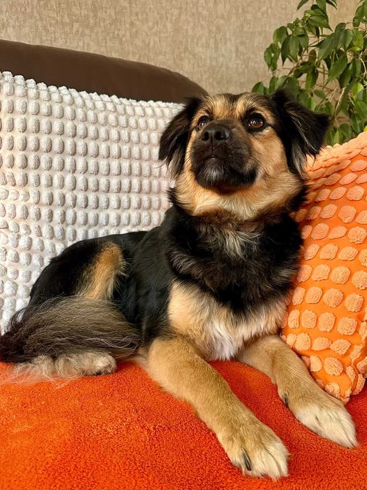 Podaruj jej dom! Mała Arizona!