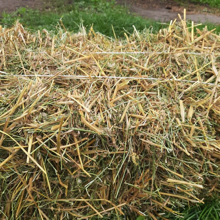 Продам сіно,люцерна+овсянка