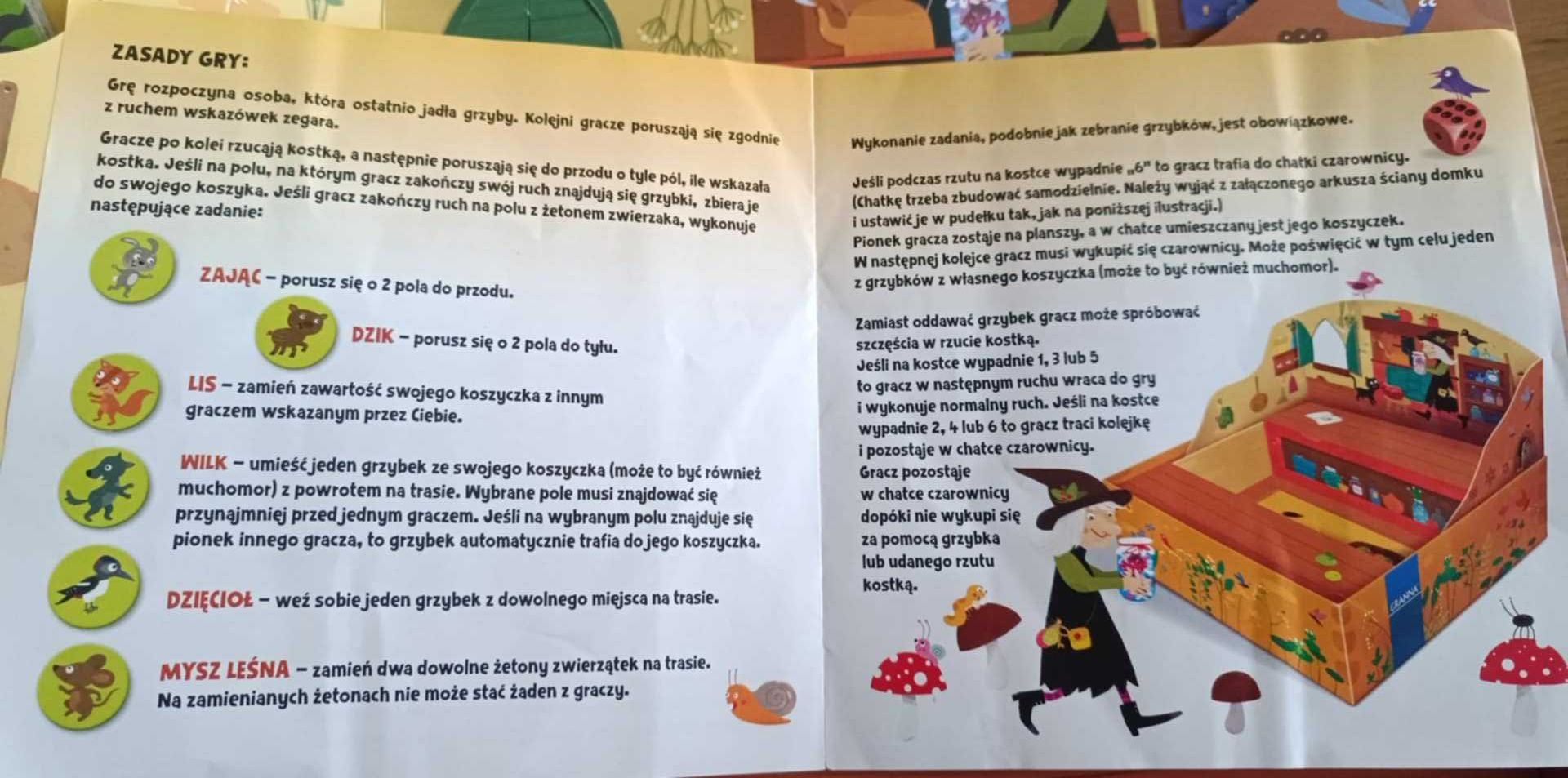 gra - Grzybobranie w zaczarowanym lesie