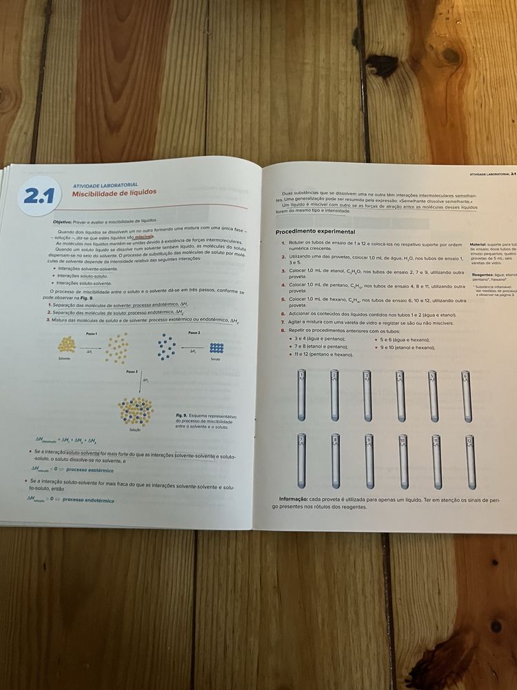 Caderno de Atividades Laboratoriais físico-química 10°ano