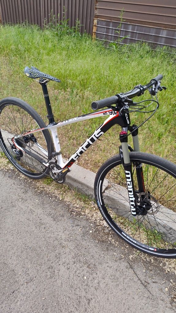 Focus Raven 29R Race Series Carbon