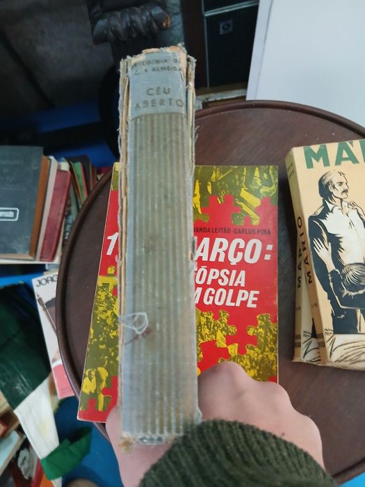 Virginia de Castro Almeida, Céu Aberto