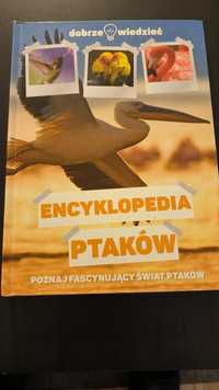 Encyklopedia ptaków