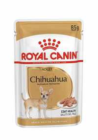 Chihuahua  adult saszetki 12 szt Royal Canin