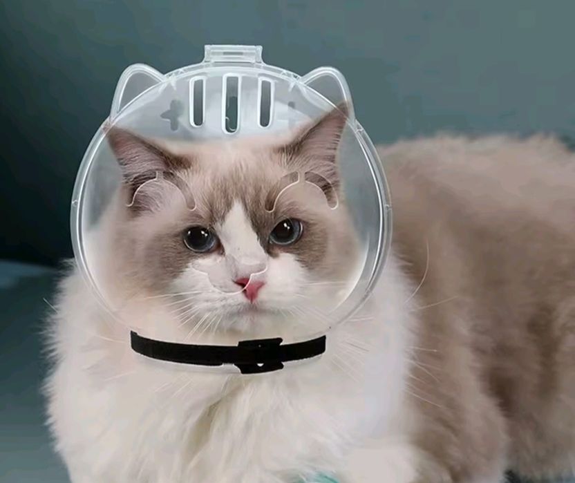 Намордник для кота