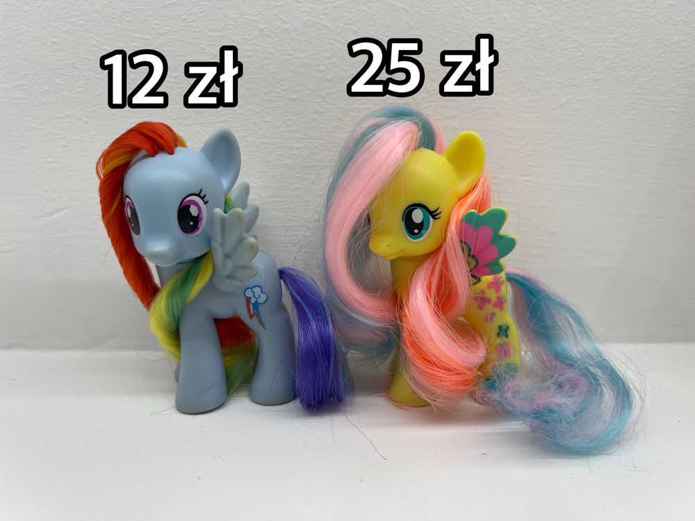 Rainbow Dash i Fluttershy koniki z My Little Pony g4