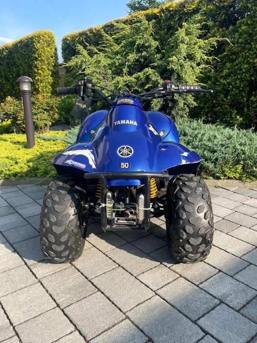 Quad / ATV 50 cm
