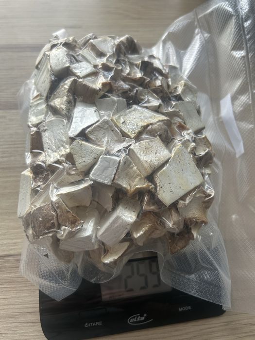 Białoporek brzozowy suszony 250g