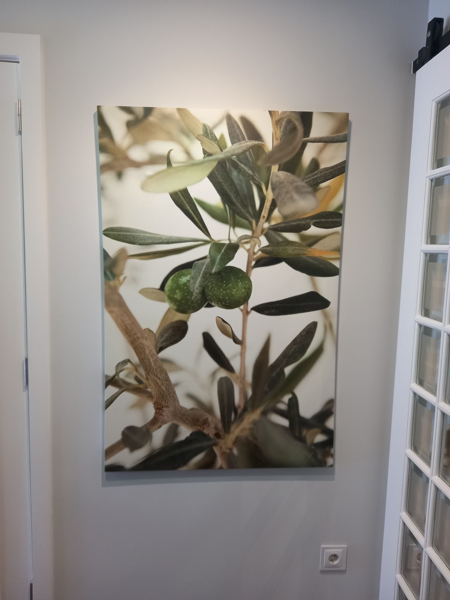 Tela com oliveiras