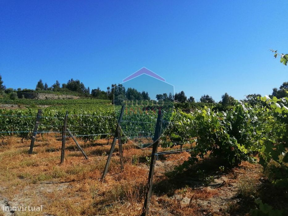 Quinta  Venda em Silgueiros,Viseu