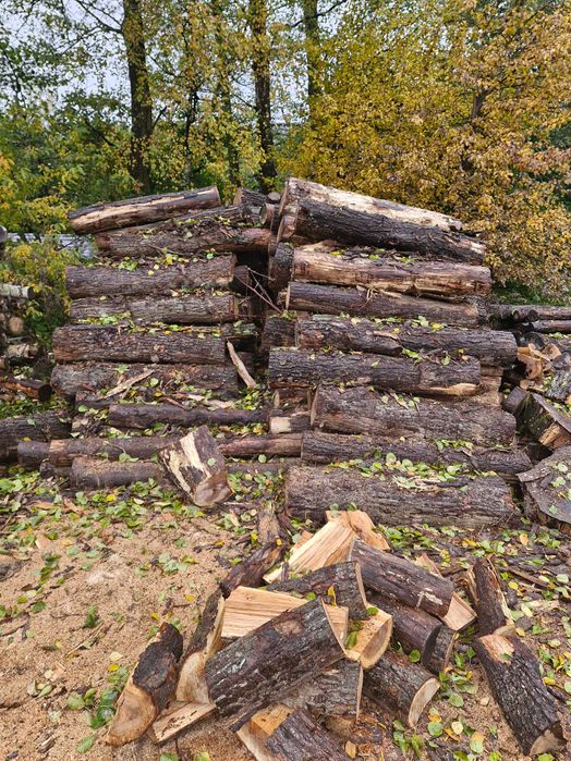 Drewno kominkowe i opałowe