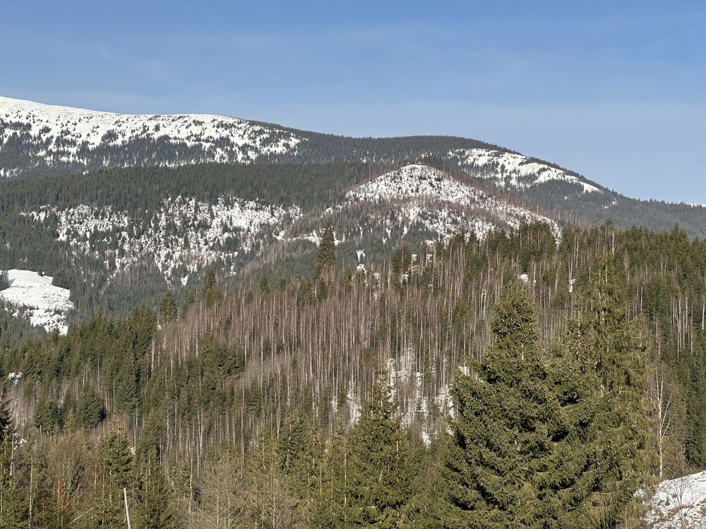 Земляна ділянка 15сот панорама гір Поляниця