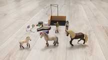 Zestaw koni schleich
