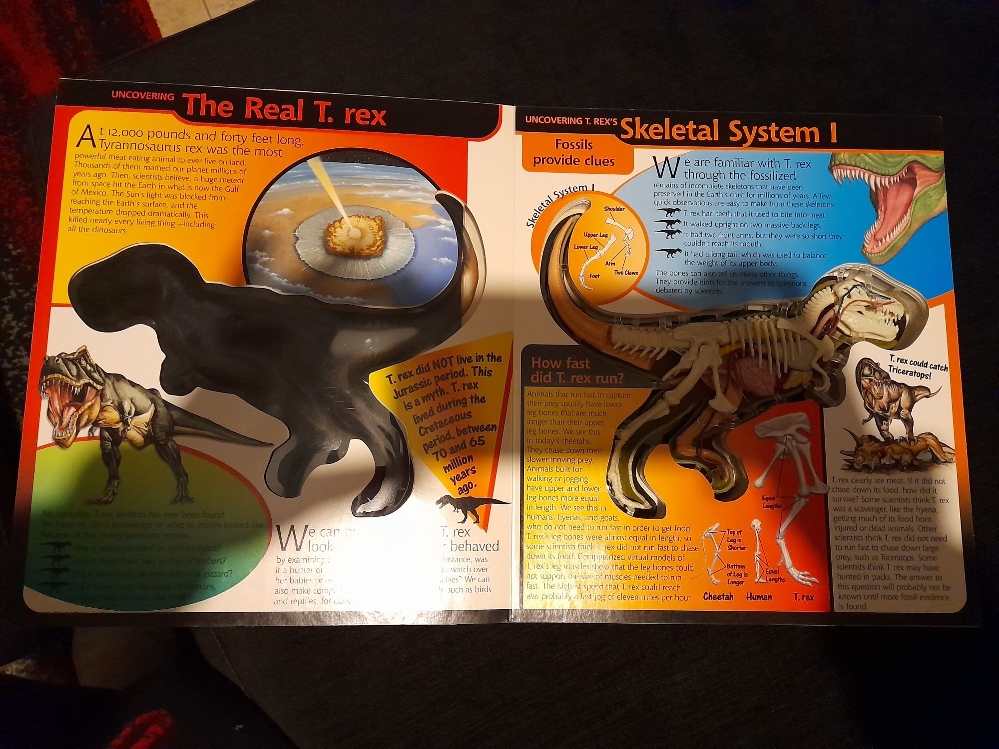 Livro maqueta Dinossauro TRex