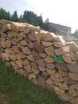 Sprzedam buk jesion