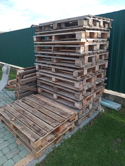 Продам європіддон