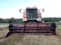 Kombajn zbożowy Massey Ferguson 38