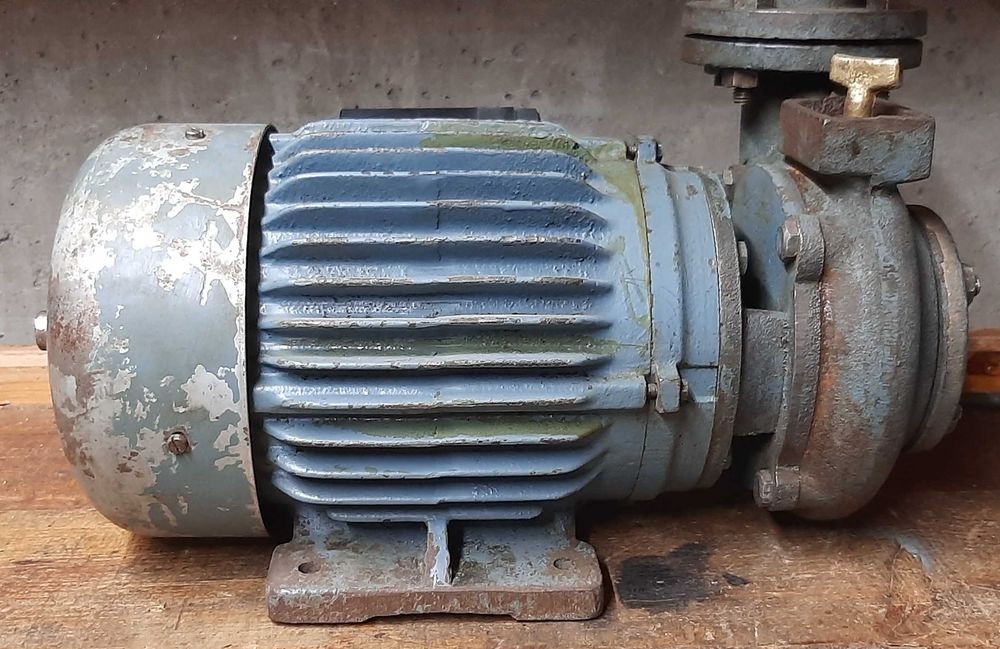 Eletrobomba Motor Rabor Tirar Água Monofásico