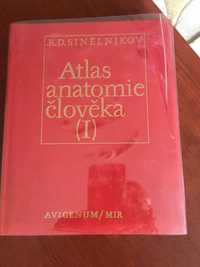 atlas anatomii SINELNIKOV