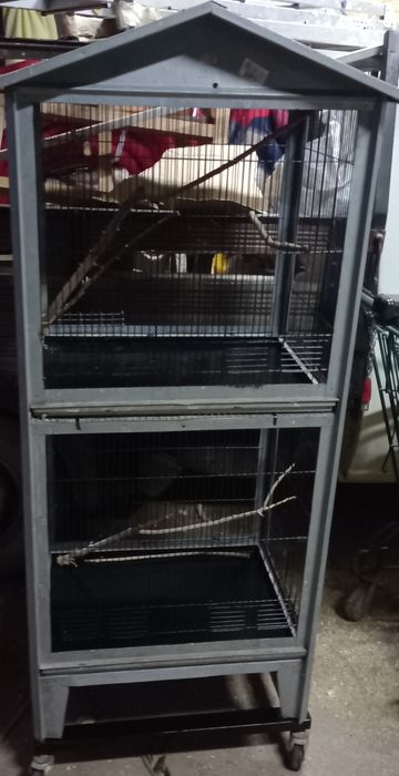 Gaiolas para aves