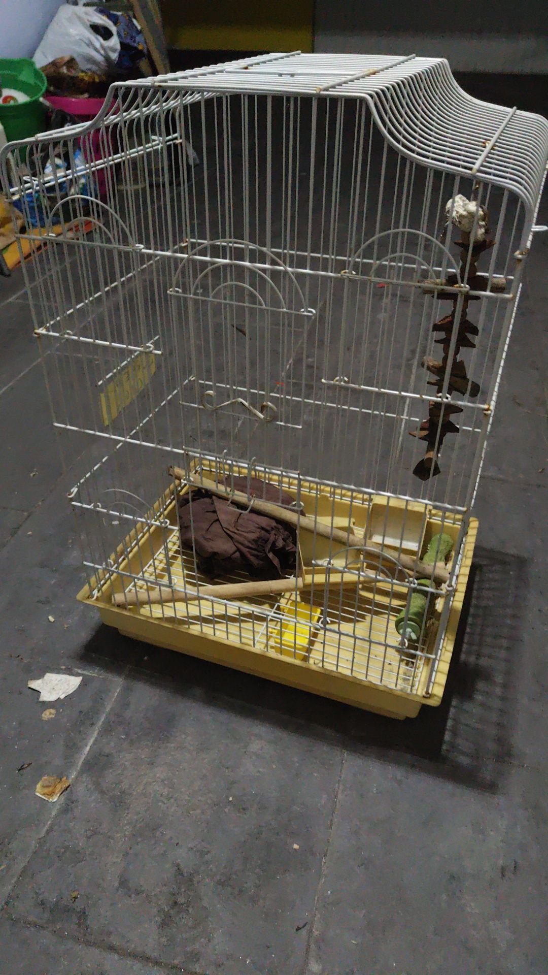 Gaiola para caturra com acessórios