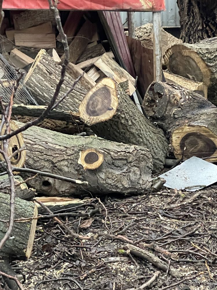 Зрізання дерев та  порізка на колодки